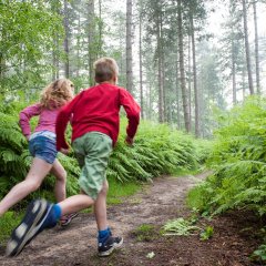 Ontdek het fort met de Vossenstreken-app!