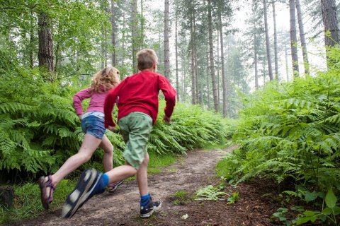 Ontdek het fort met de Vossenstreken-app!